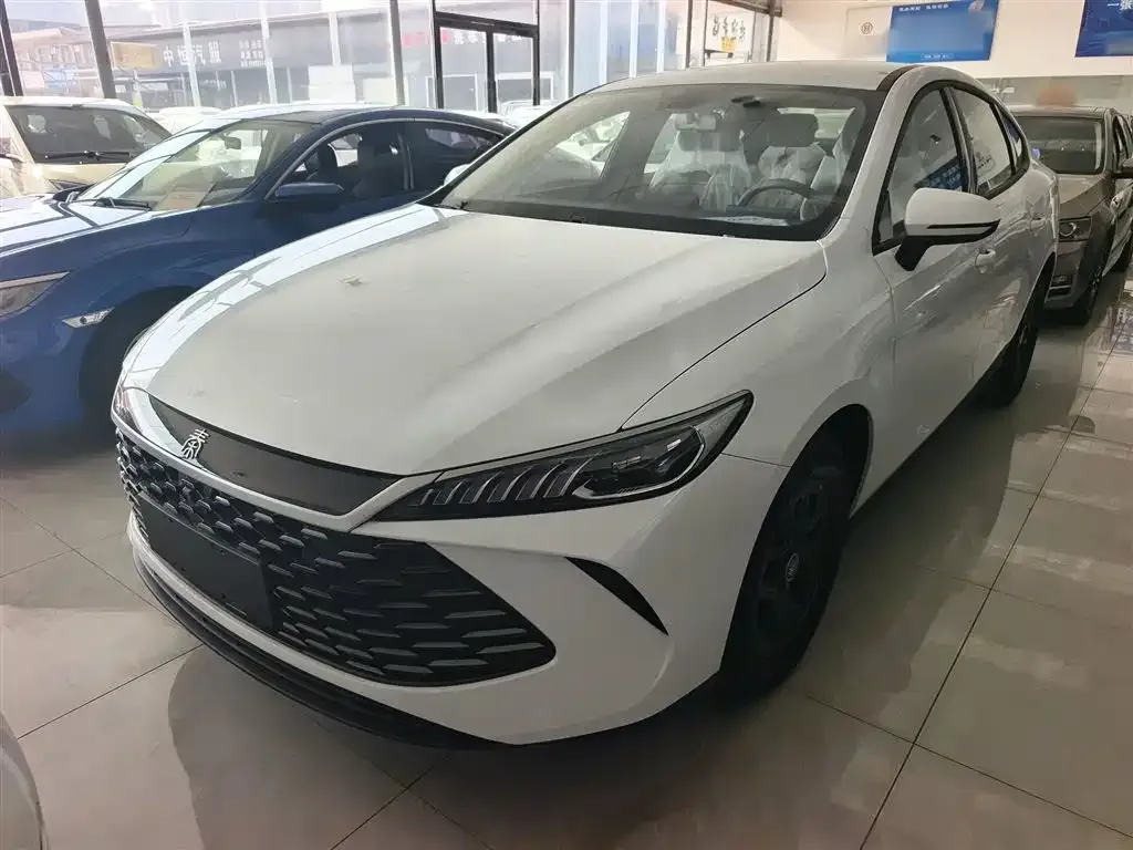 BYD Qin PLUS — фото 1