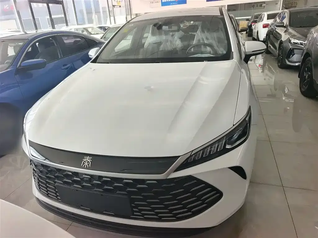 BYD Qin PLUS — фото 3