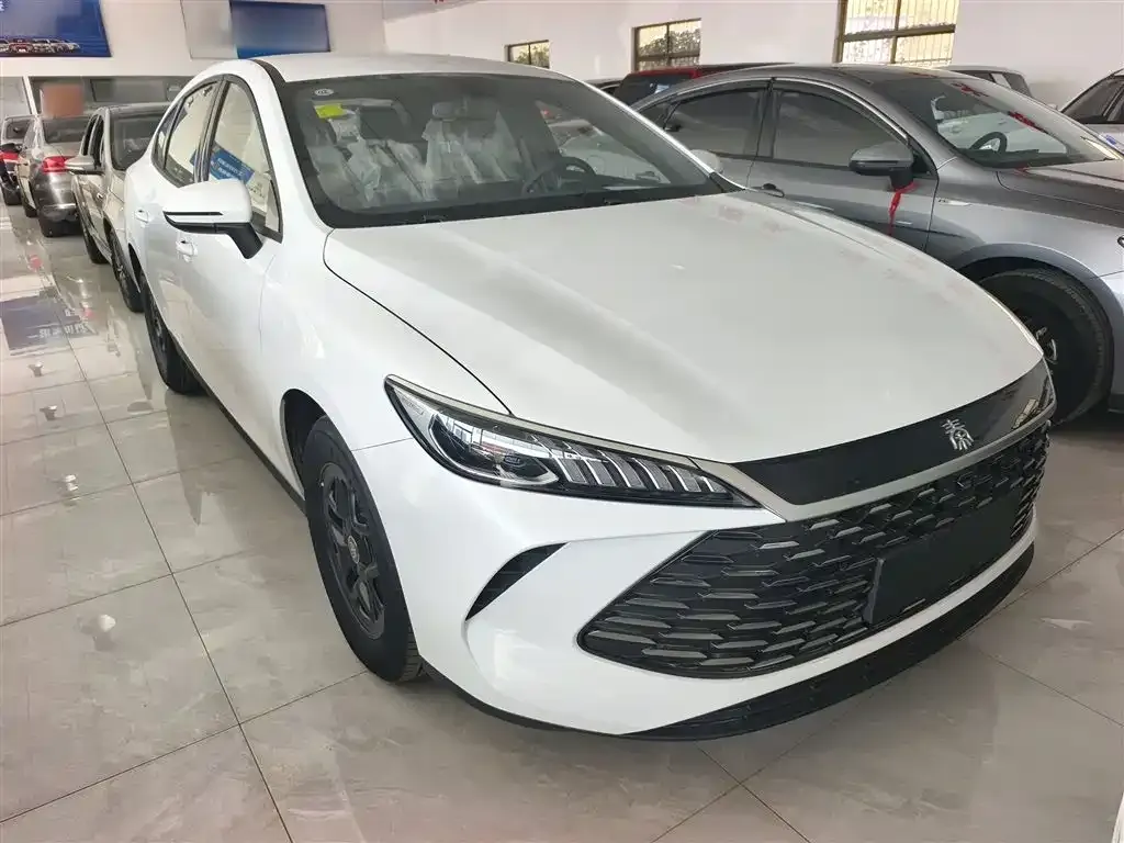 BYD Qin PLUS — фото 4