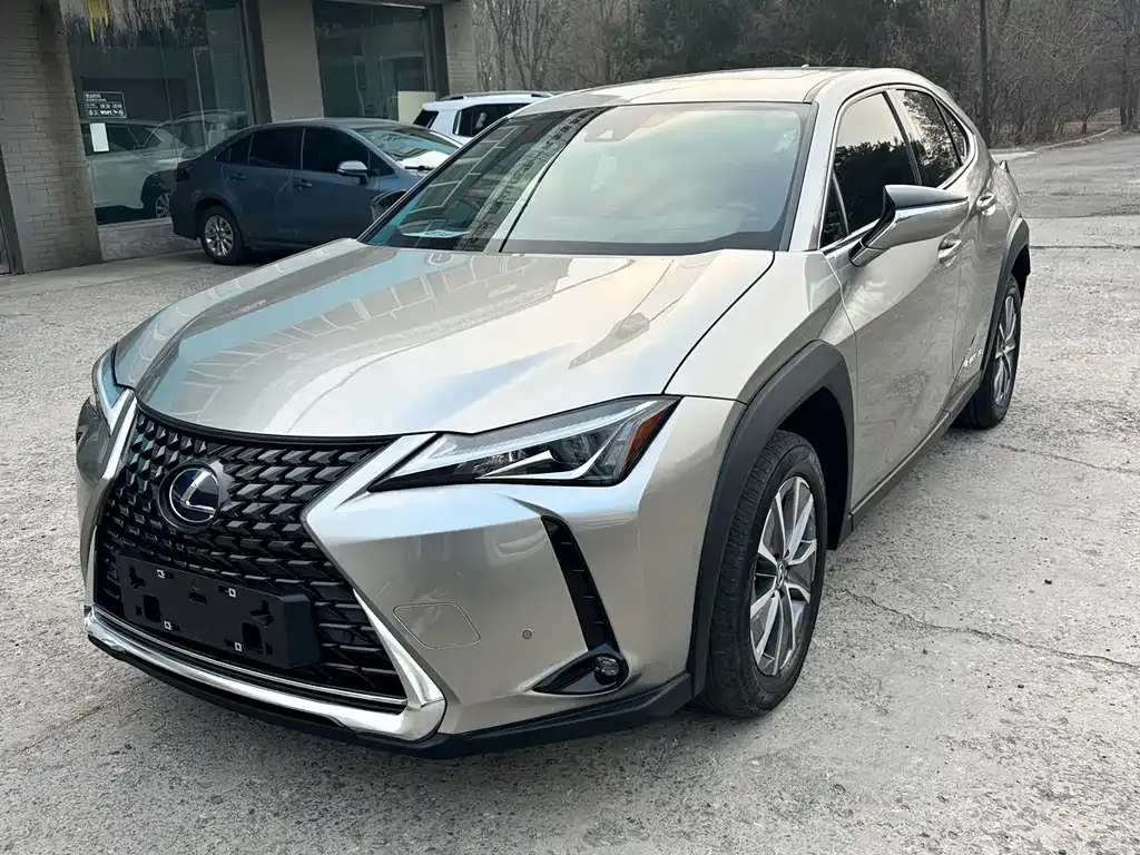 Lexus UX New Energy — фото 1