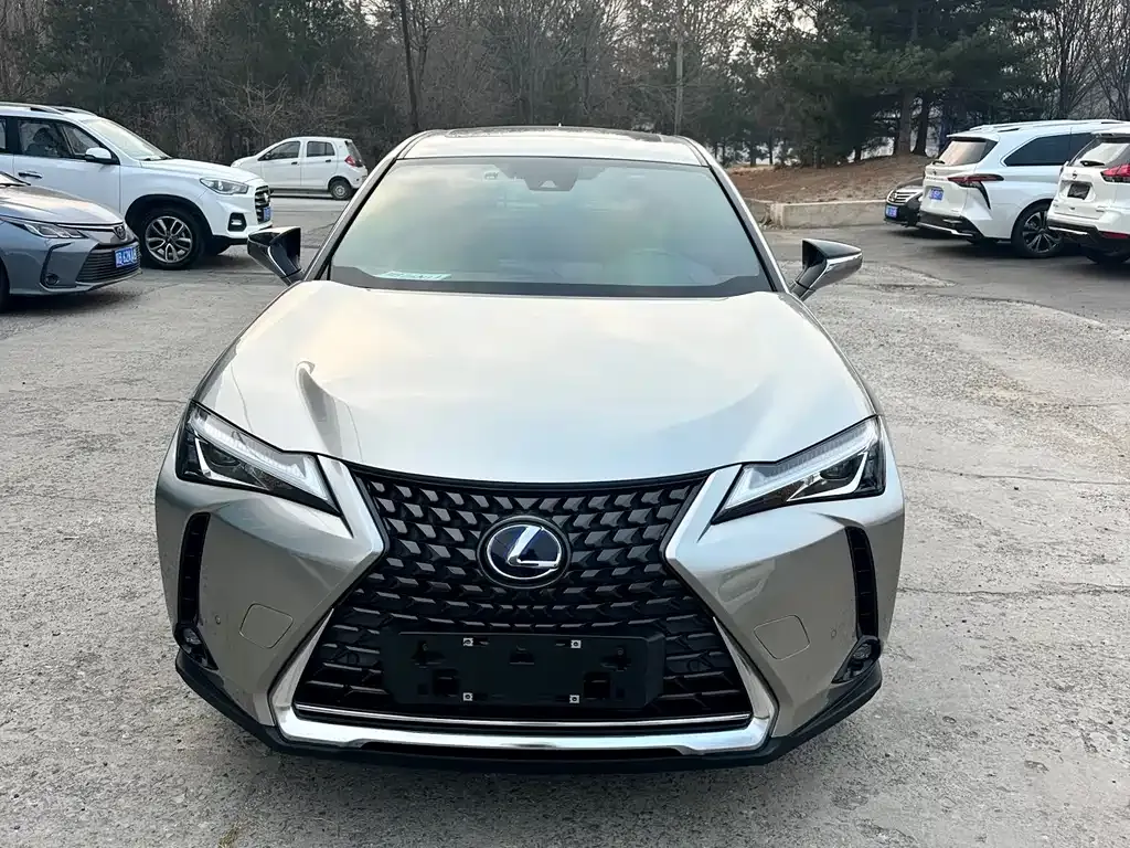 Lexus UX New Energy — фото 8