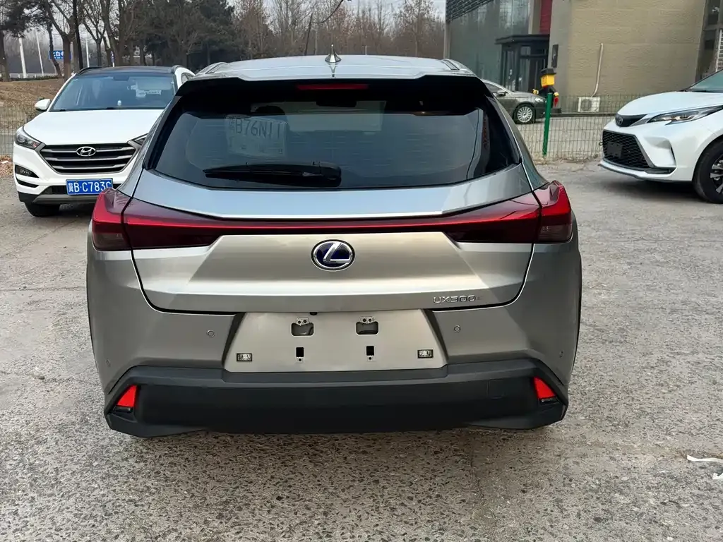 Lexus UX New Energy — фото 6
