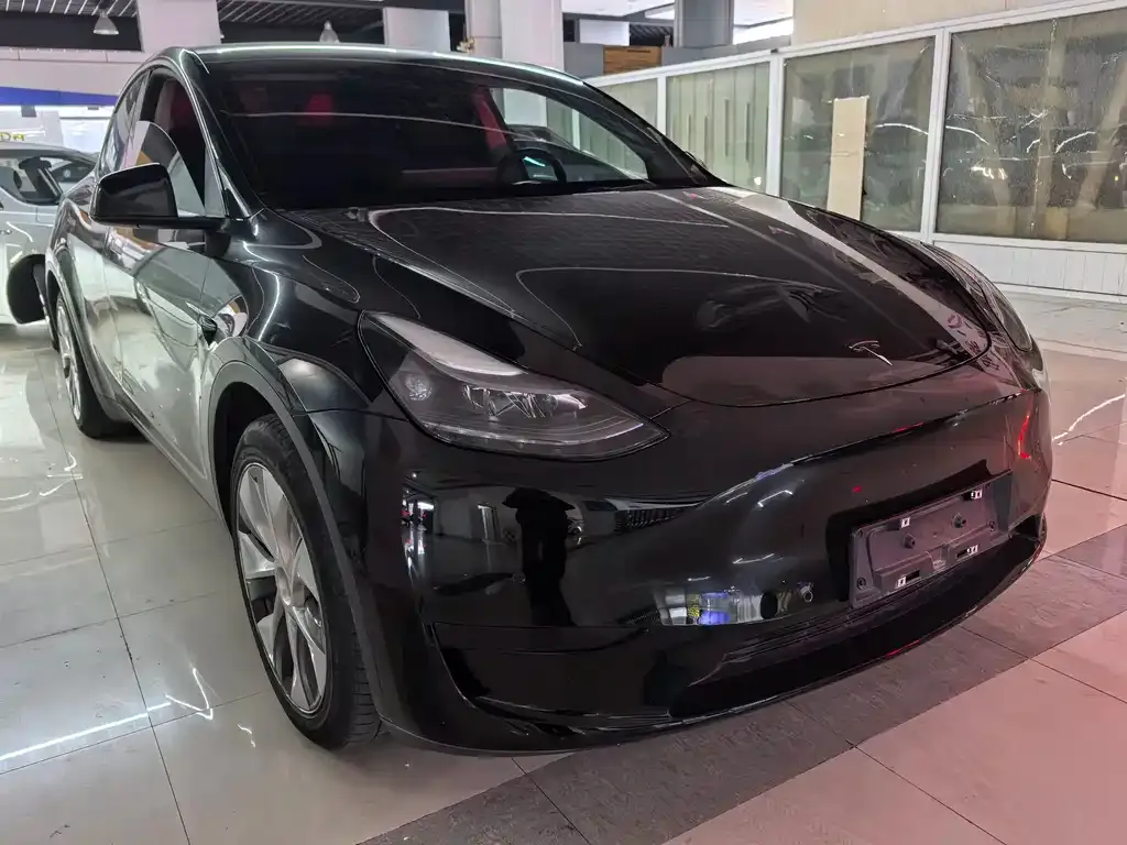 Tesla Model Y — фото 7