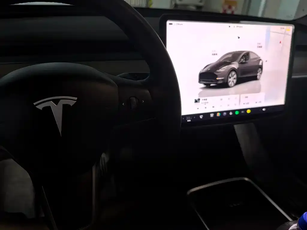 Tesla Model Y — фото 2