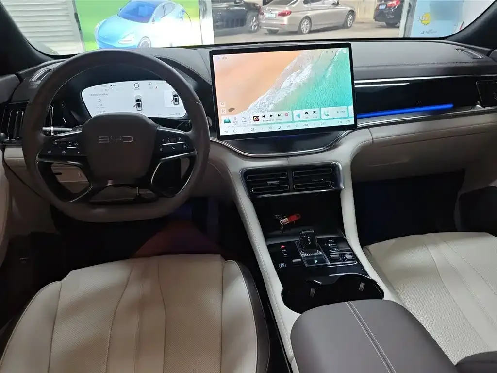 BYD PLUS New Energy — фото 10