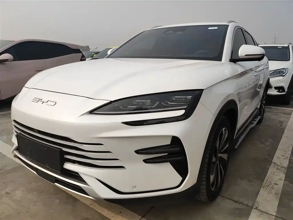 BYD PLUS New Energy — фото 1