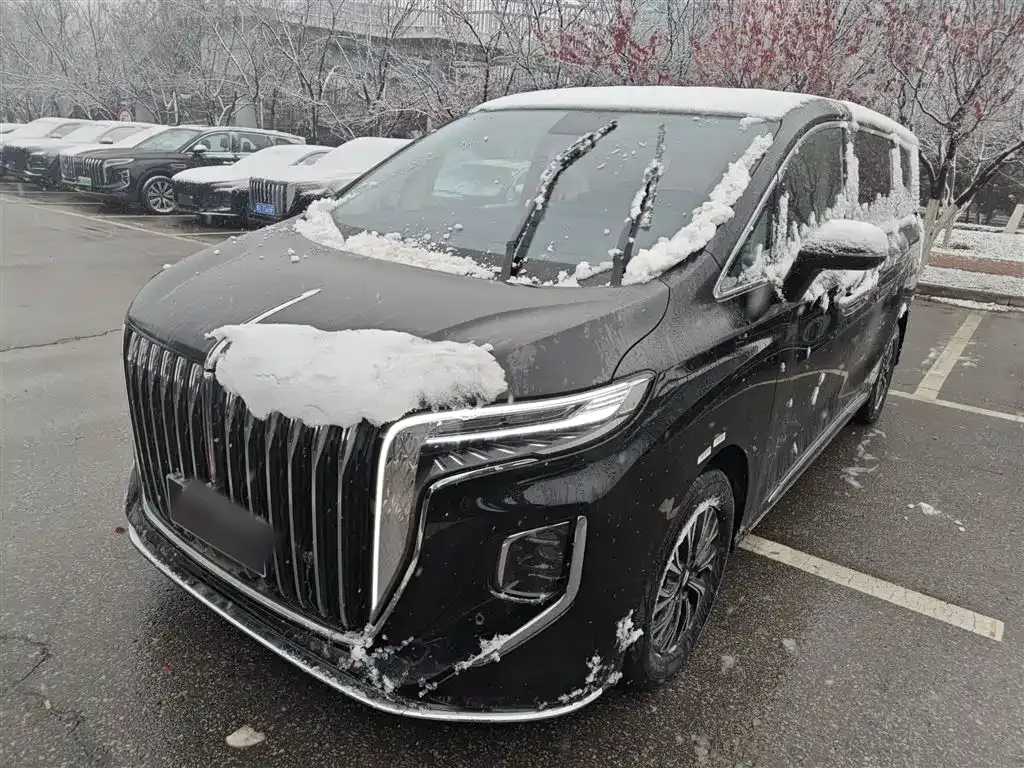 Hongqi HQ9 PHEV — фото 6