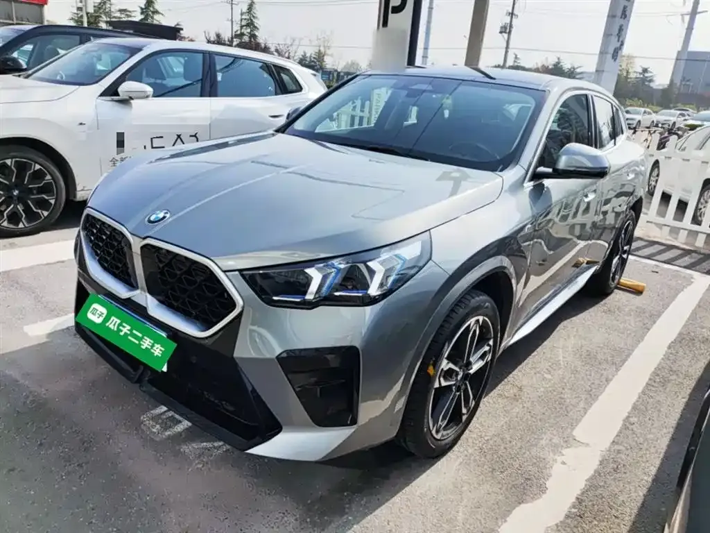 BMW X2 (Import) — фото 1