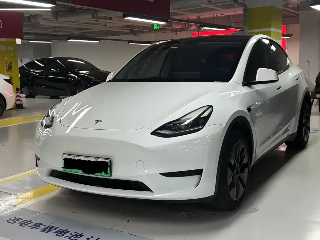 Tesla Model Y — фото 1