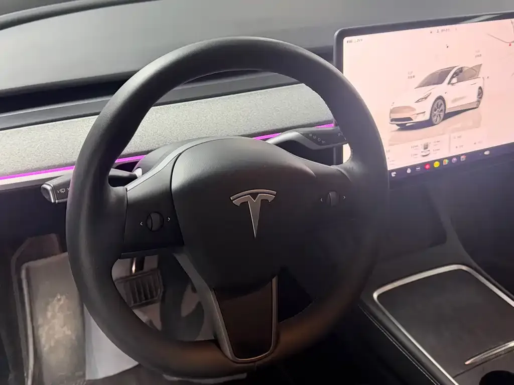 Tesla Model Y — фото 10