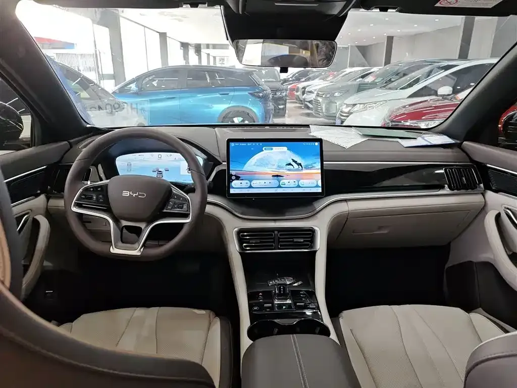 BYD PLUS New Energy — фото 10
