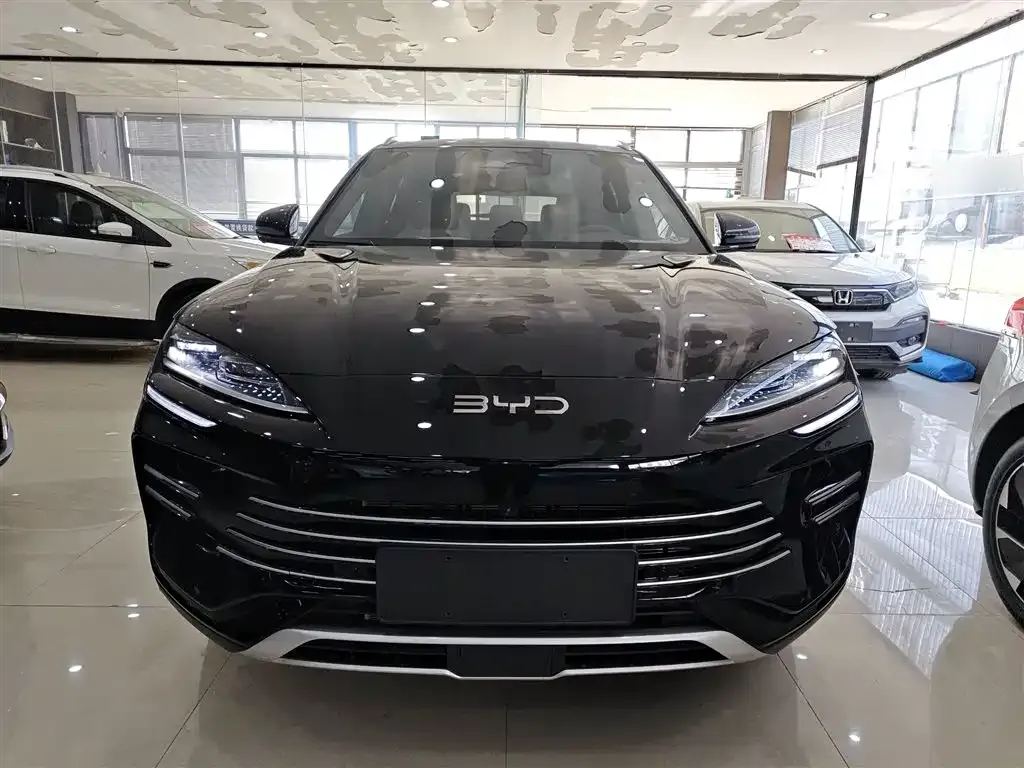 BYD PLUS New Energy — фото 3