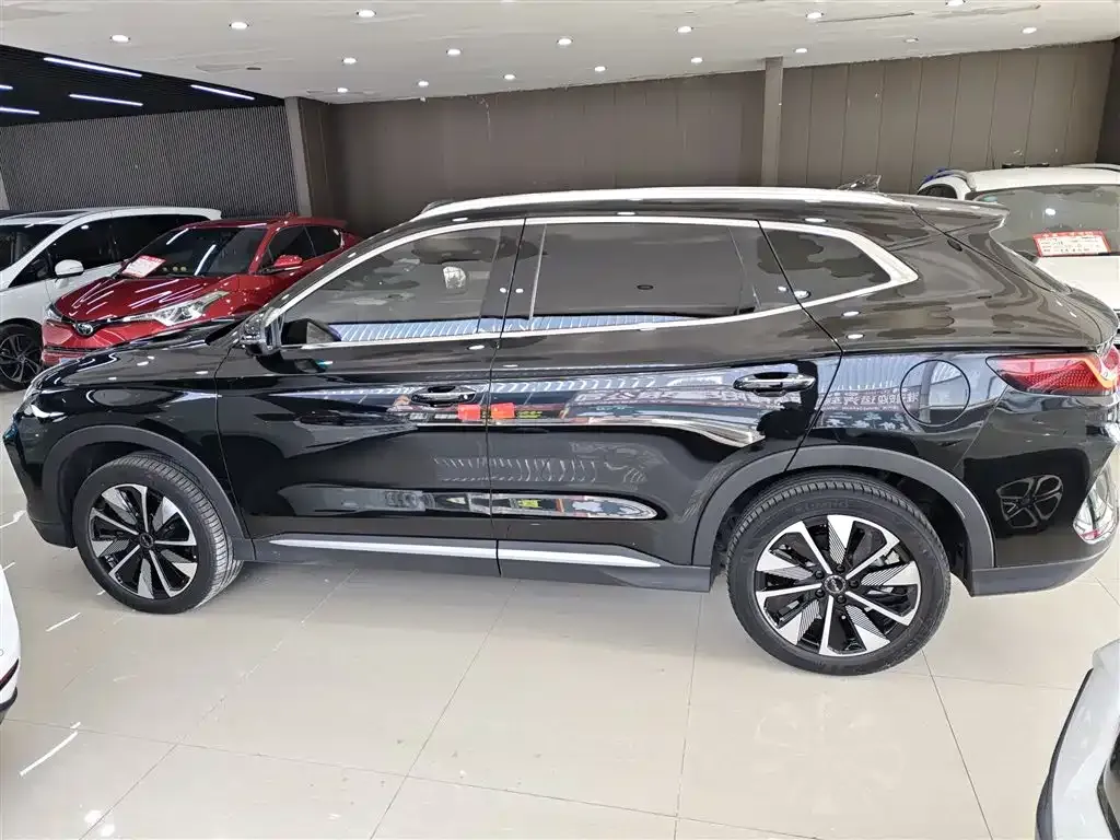 BYD PLUS New Energy — фото 5