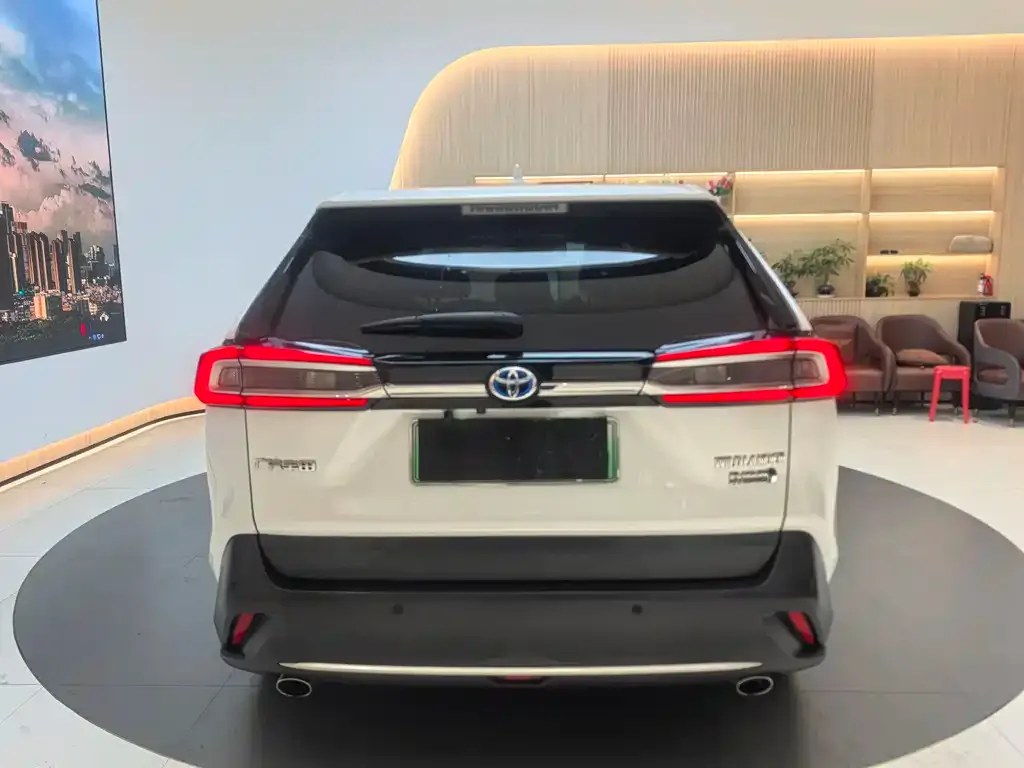 Toyota Wildlander New Energy — фото 10