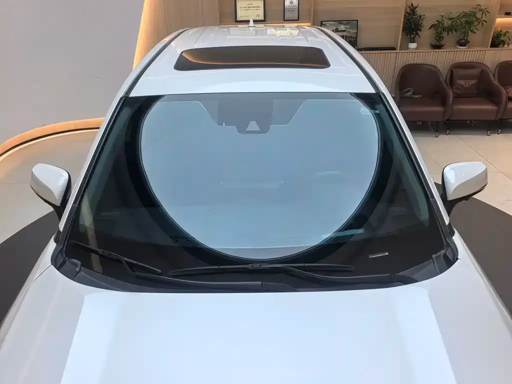 Toyota Wildlander New Energy — фото 2