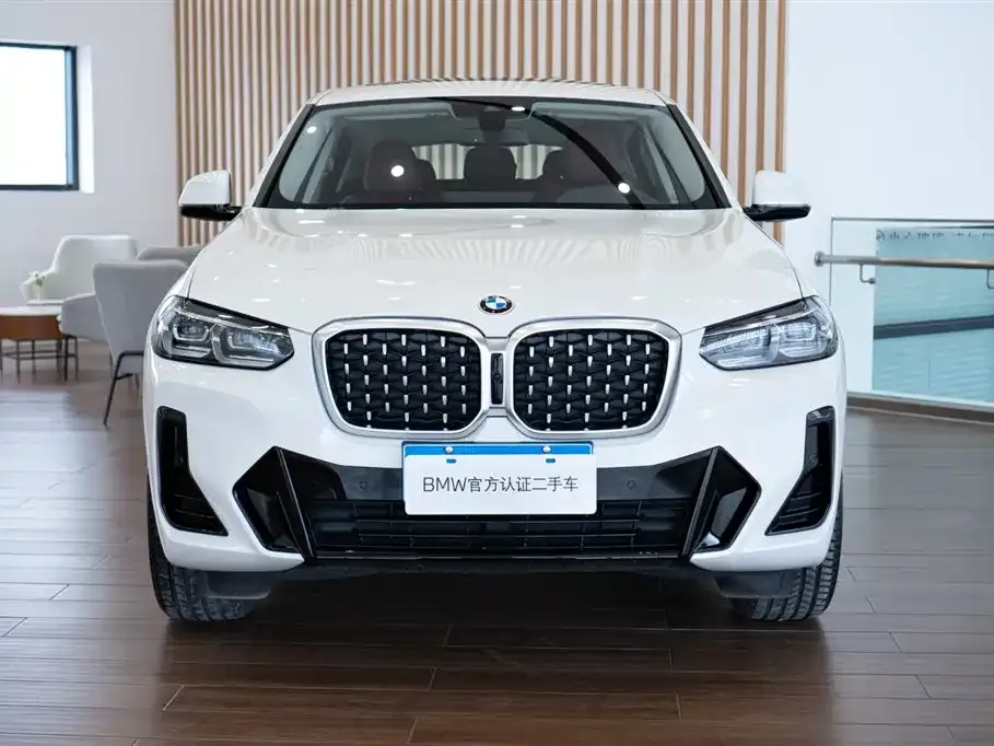 BMW X4 — фото 10