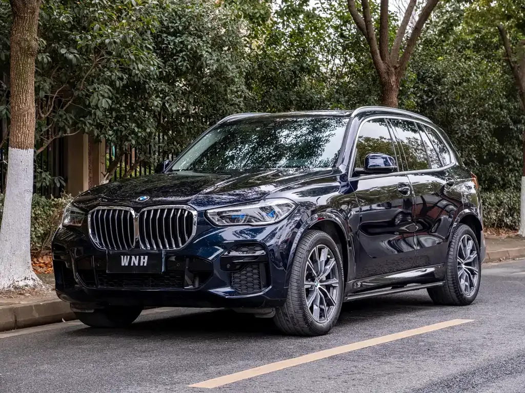 BMW X5 (Import) — фото 1