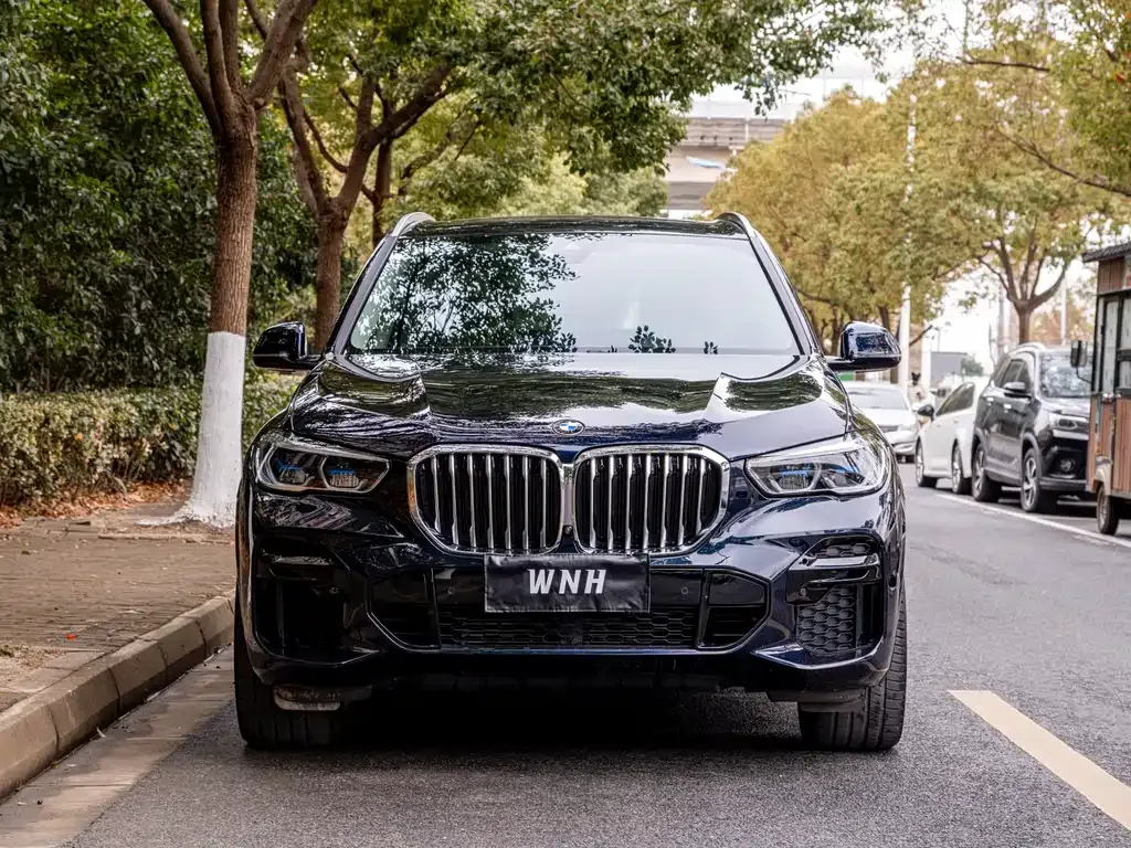 BMW X5 (Import) — фото 10