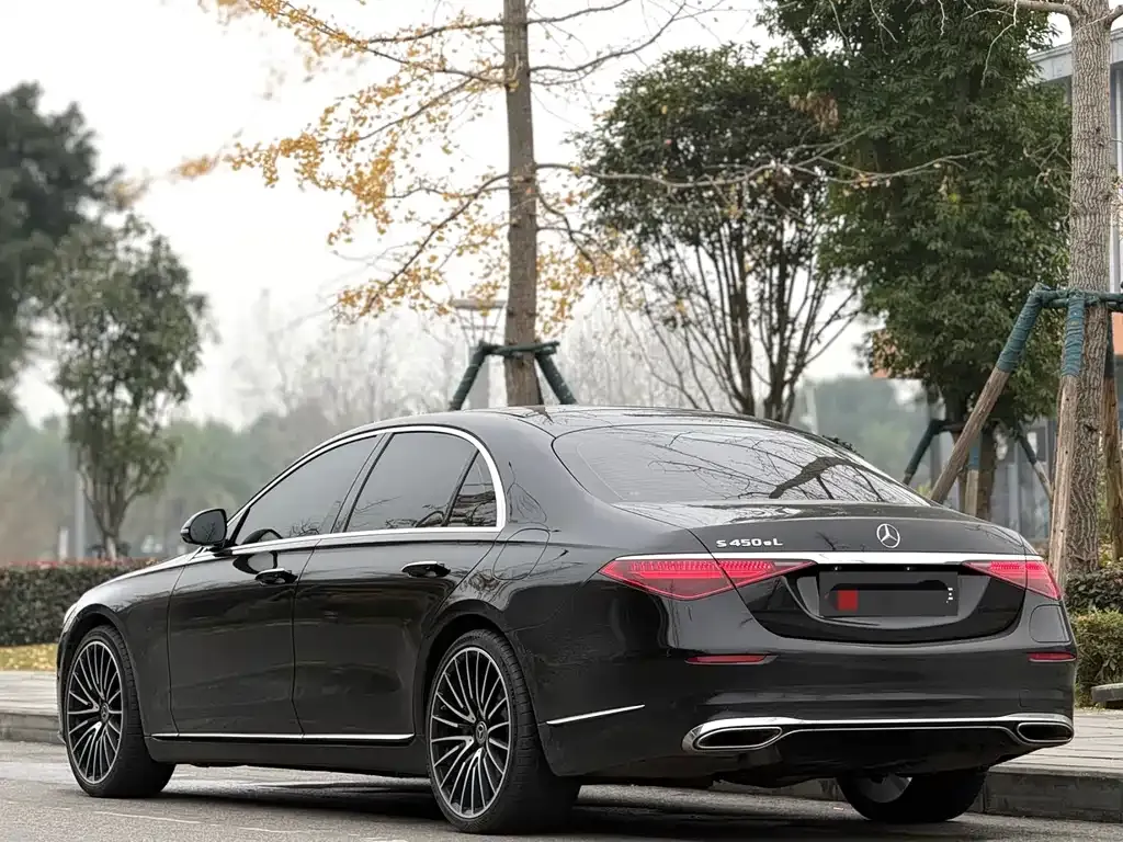 Mercedes-Benz S-Class New Energy — фото 8