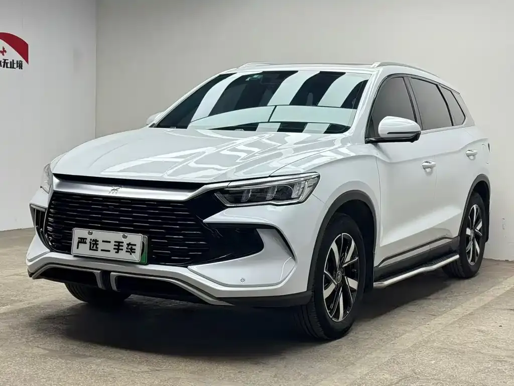 BYD Pro New Energy — фото 1