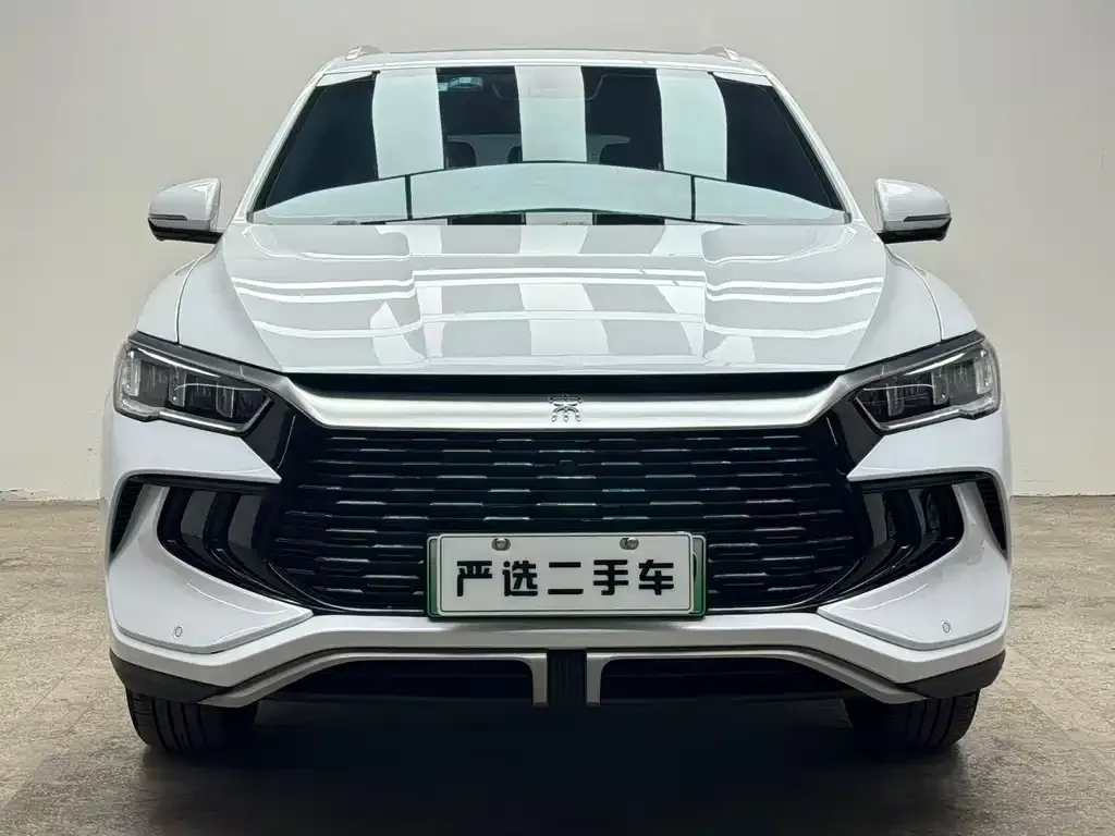 BYD Pro New Energy — фото 2