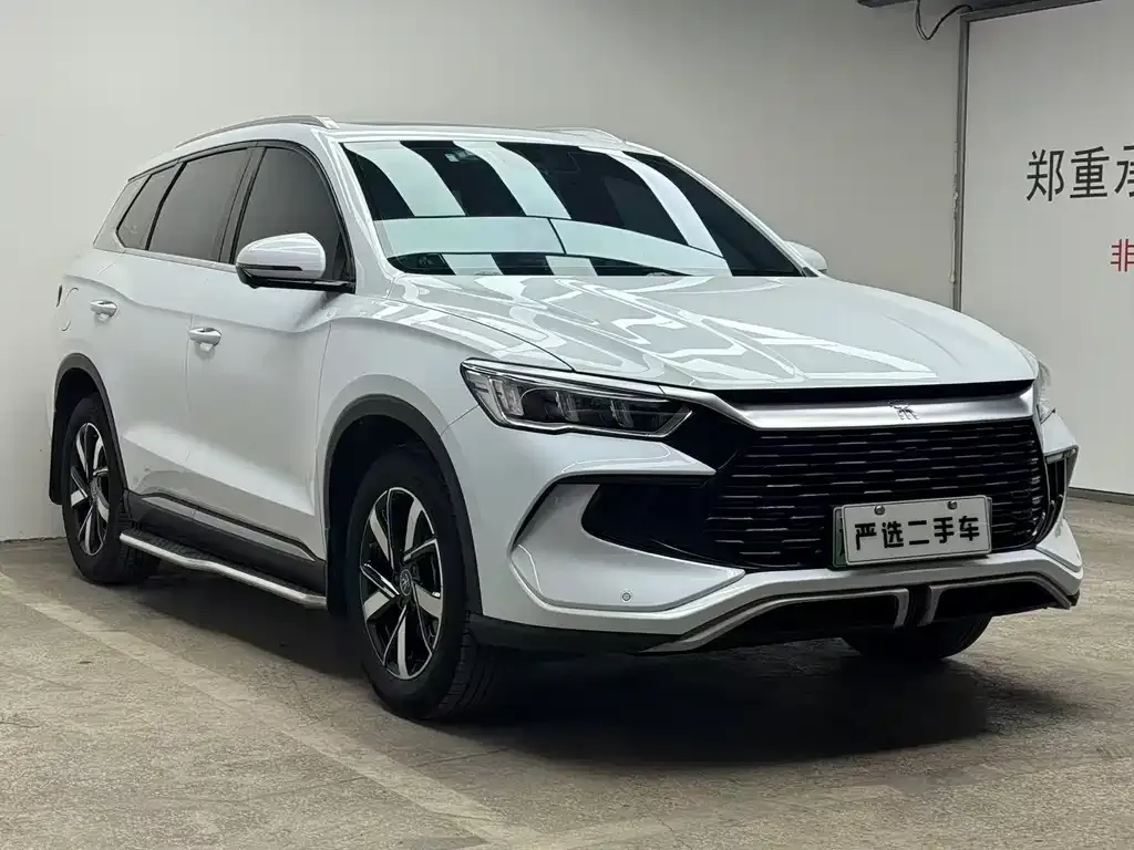 BYD Pro New Energy — фото 6