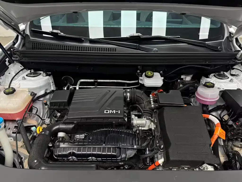 BYD Pro New Energy — фото 10