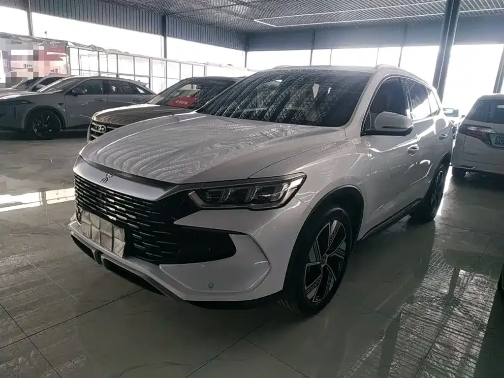 BYD Pro New Energy — фото 1