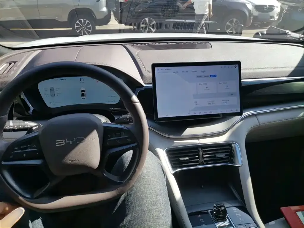BYD PLUS New Energy — фото 10