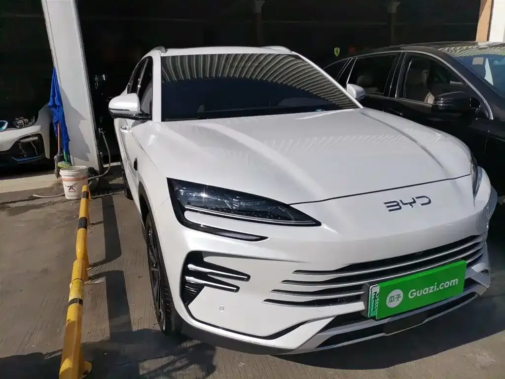 BYD PLUS New Energy — фото 4
