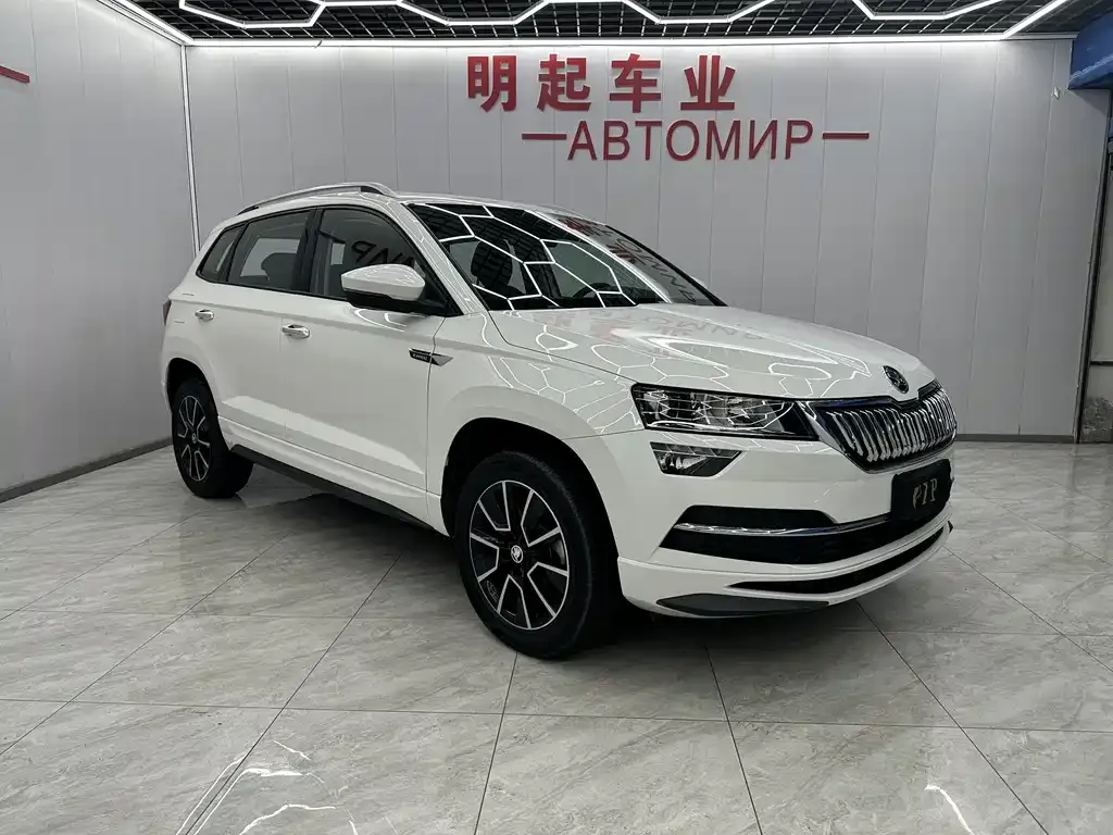 Skoda Karoq — фото 8