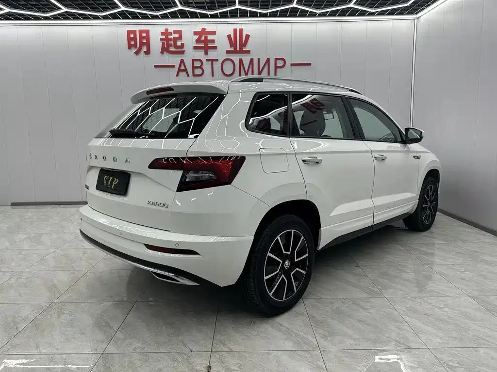 Skoda Karoq — фото 6