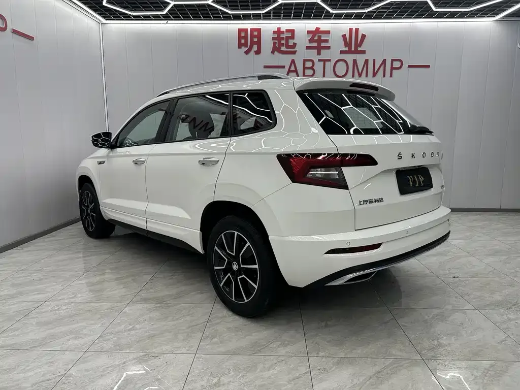 Skoda Karoq — фото 9