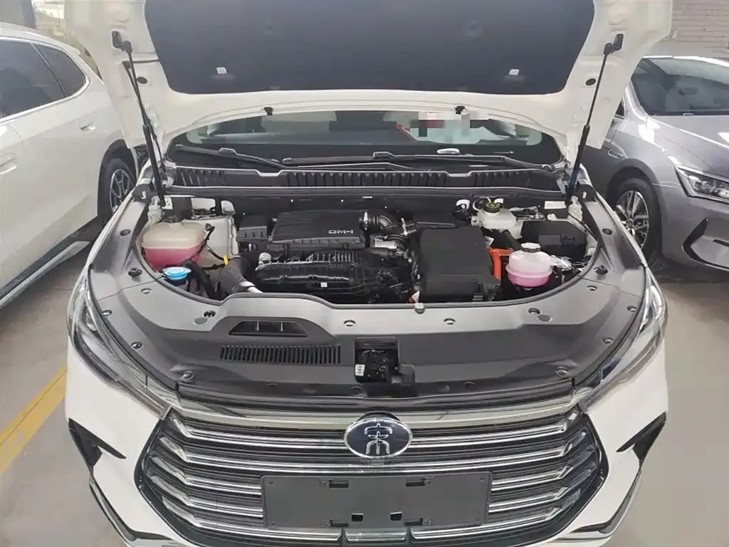 BYD MAX New Energy — фото 8