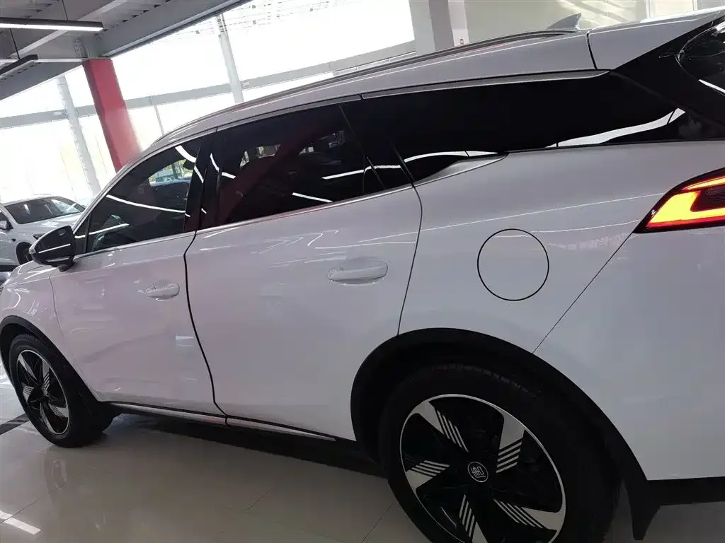 BYD Tang New Energy — фото 10