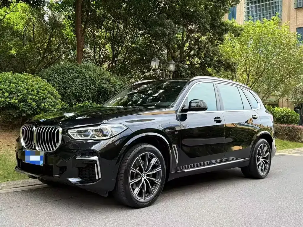 BMW X5 — фото 6