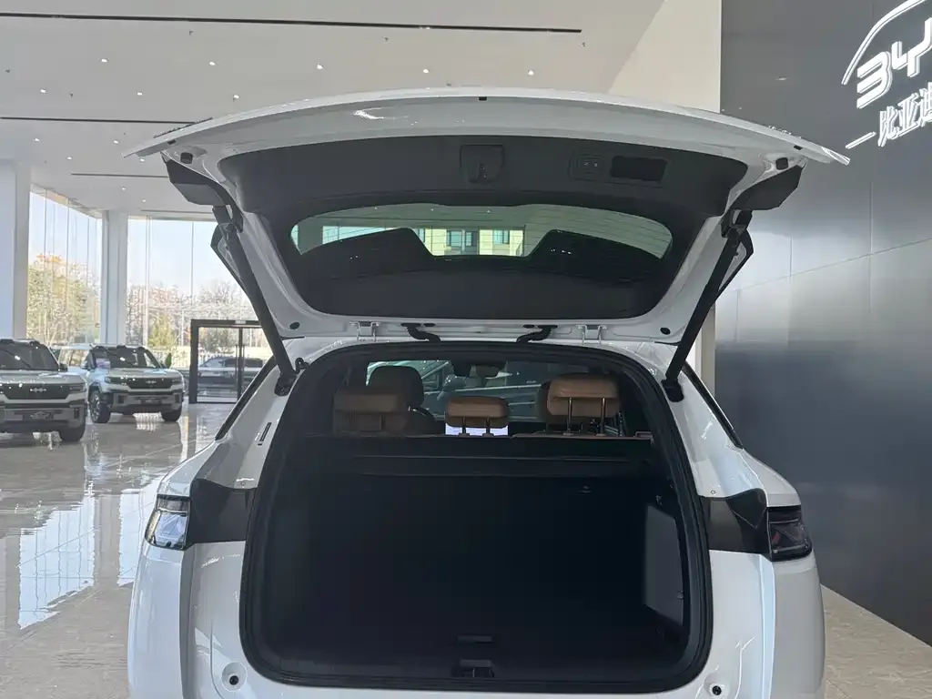 BYD L DM-i — фото 9