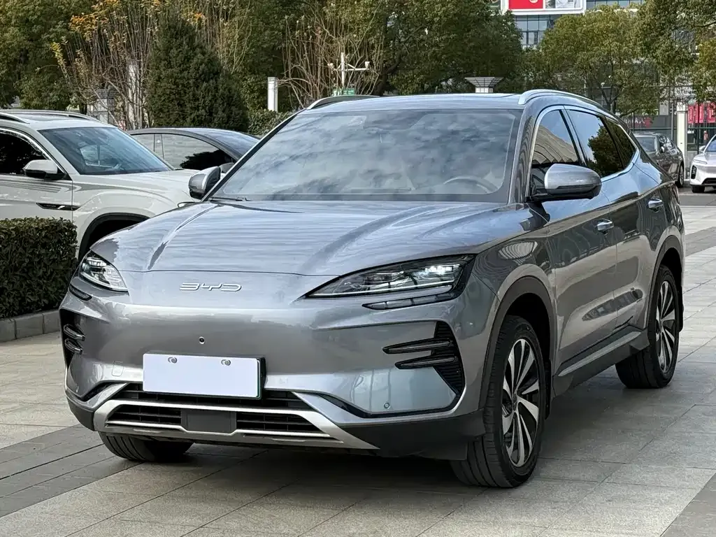 BYD PLUS New Energy — фото 1