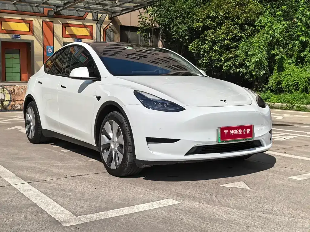 Tesla Model Y — фото 3