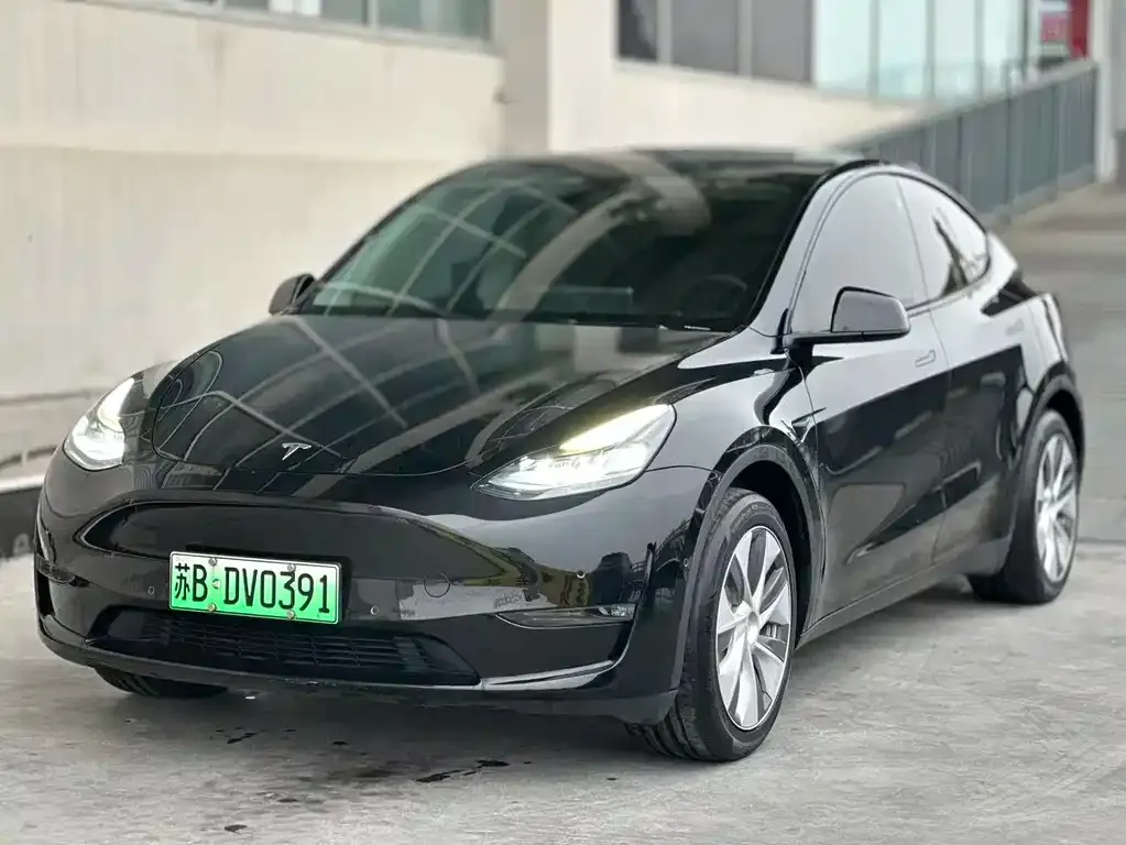 Tesla Model Y — фото 1