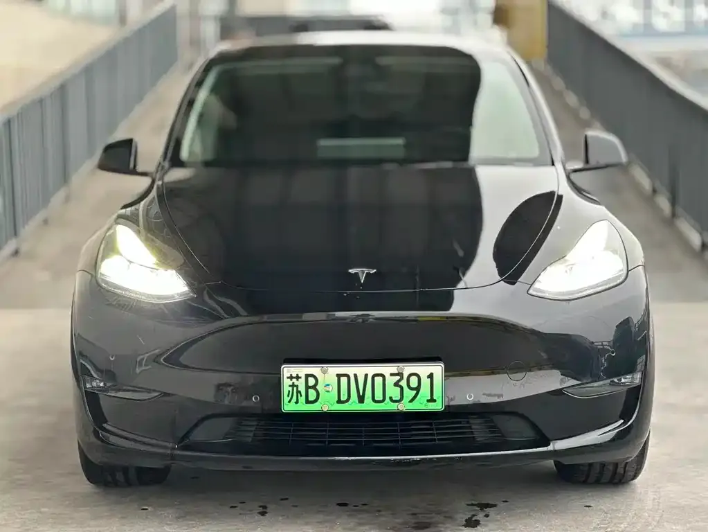 Tesla Model Y — фото 2