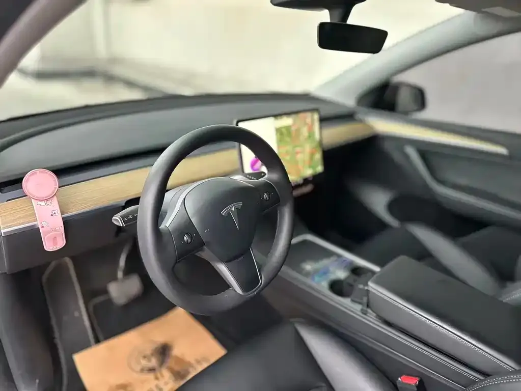 Tesla Model Y — фото 5