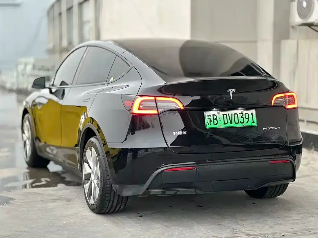 Tesla Model Y — фото 9
