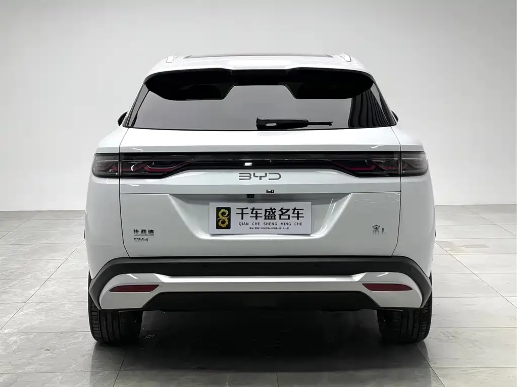 BYD L DM-i — фото 7