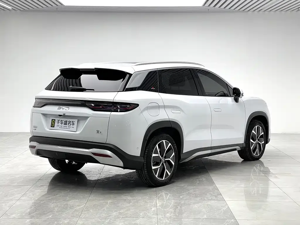 BYD L DM-i — фото 3
