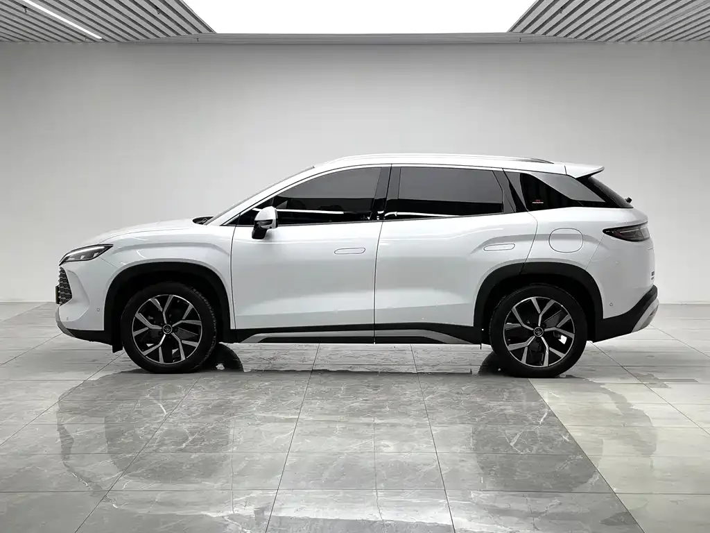 BYD L DM-i — фото 10