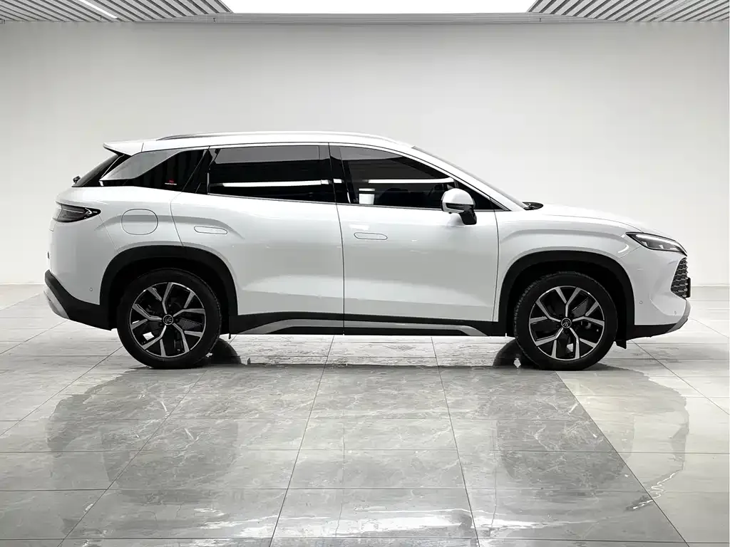 BYD L DM-i — фото 6