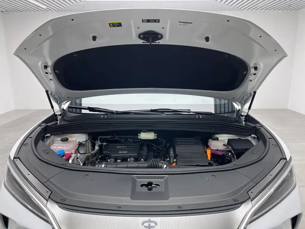 BYD L DM-i — фото 9