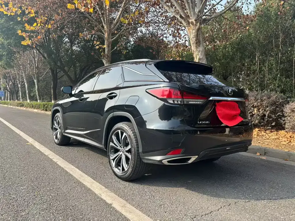 Lexus RX — фото 9