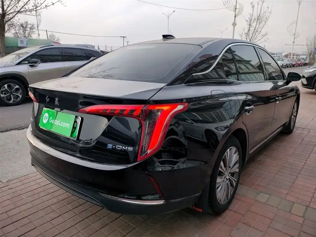 Hongqi E-QM5 — фото 10